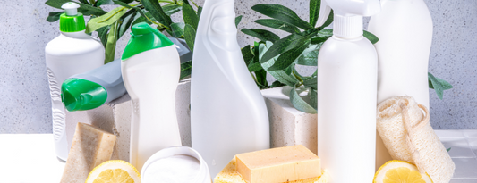 7 Best Carpet Cleaning Solutions: Eco-Friendly for All